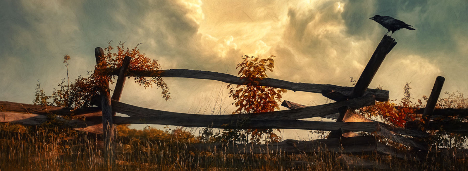 8 Inch Round Metal Prints