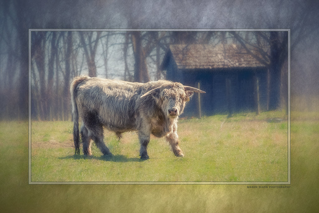 "Highland Alpha" 6x9 Metal Print with Stand