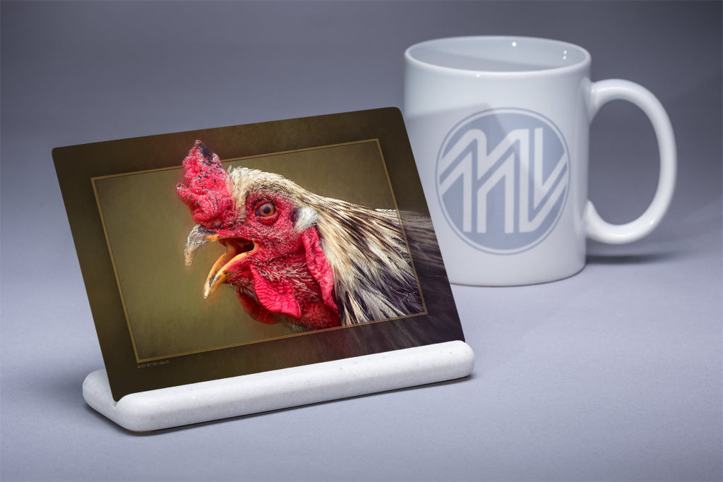 "Fussy" 4x6 Metal Print & Stand