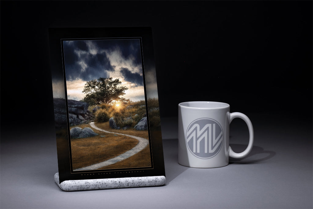 "The Witness Tree at Devil's Den" 6x9 Metal Print with Stand