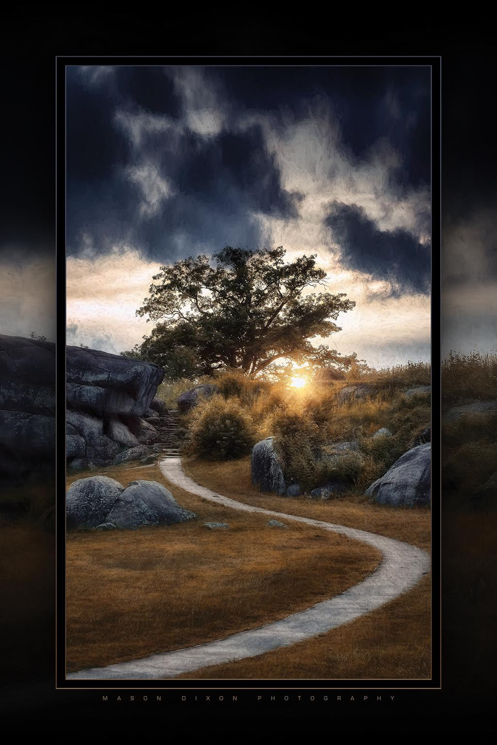 "The Witness Tree at Devil's Den" 6x9 Metal Print with Stand