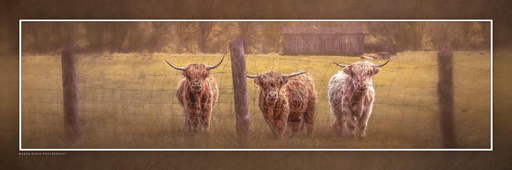 "Highland Trifecta" 4x12 Panoramic Metal Print with Stand
