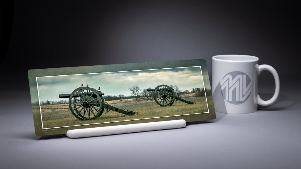 "The Bird Brigade" 4x12 Panoramic Metal Print with Stand