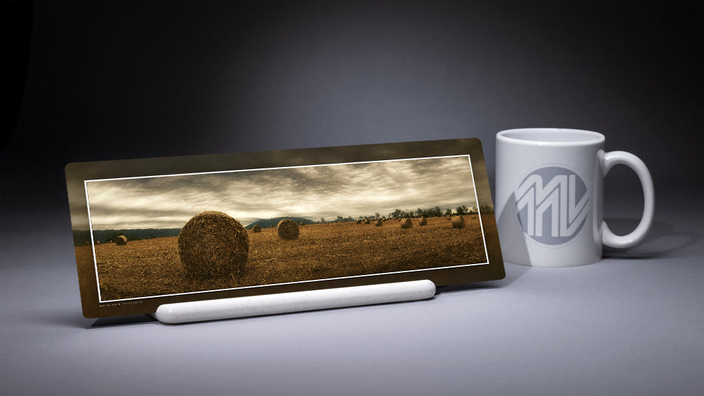 "Winter Reserves" 4x12 Panoramic Metal Print with Stand