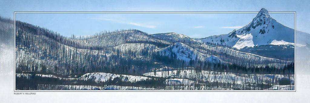 "Oregon Wild" 4x12 Panoramic Metal Print with Stand