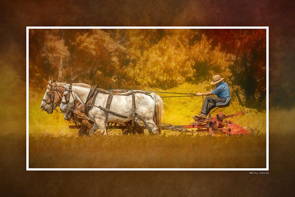 "The Teamster" 6x9 Metal Print & Stand