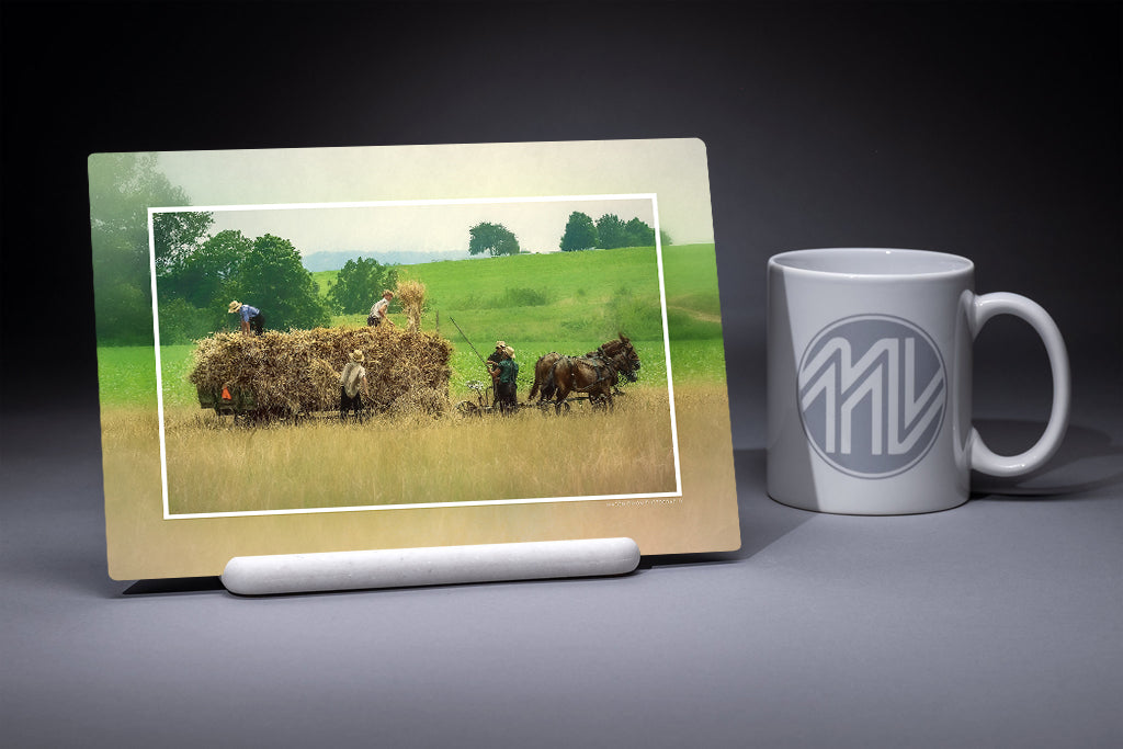 "Harvesting Spelt" 6x9 Metal Print & Stand