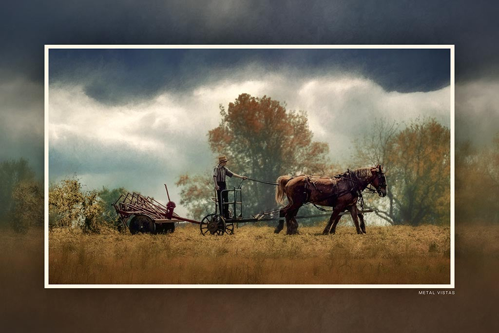 "Preparing to Plant" 6x9 Metal Print & Stand