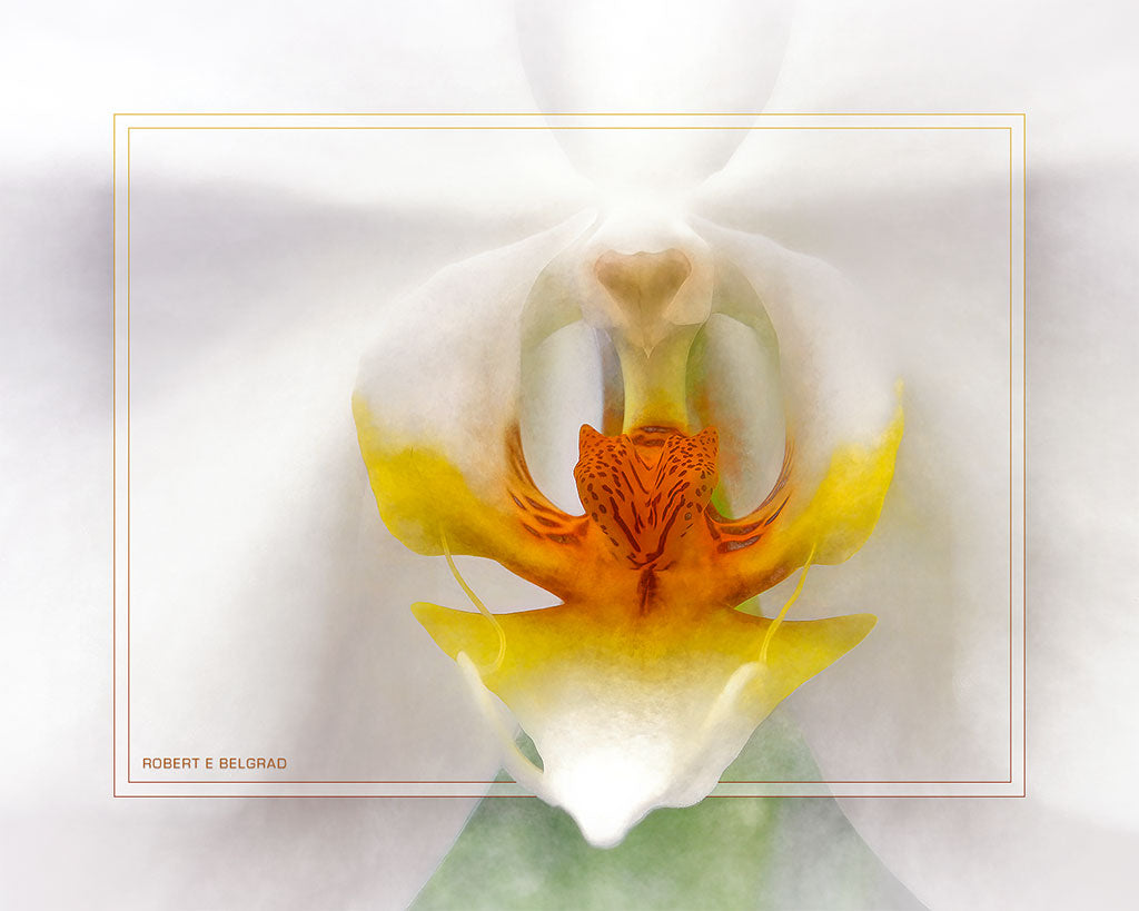 "Fading Orchid" 4x5 Metal Print & Stand