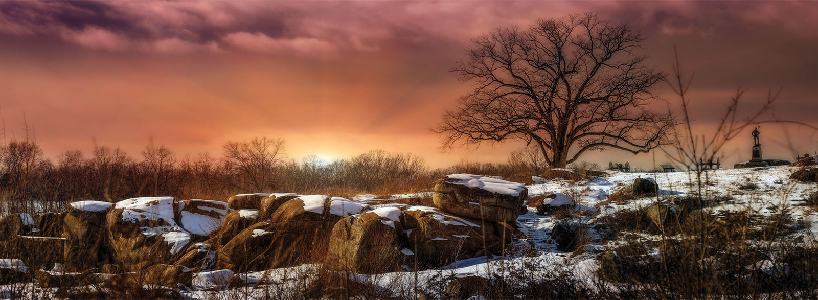 4x12 Panoramic Metal Prints