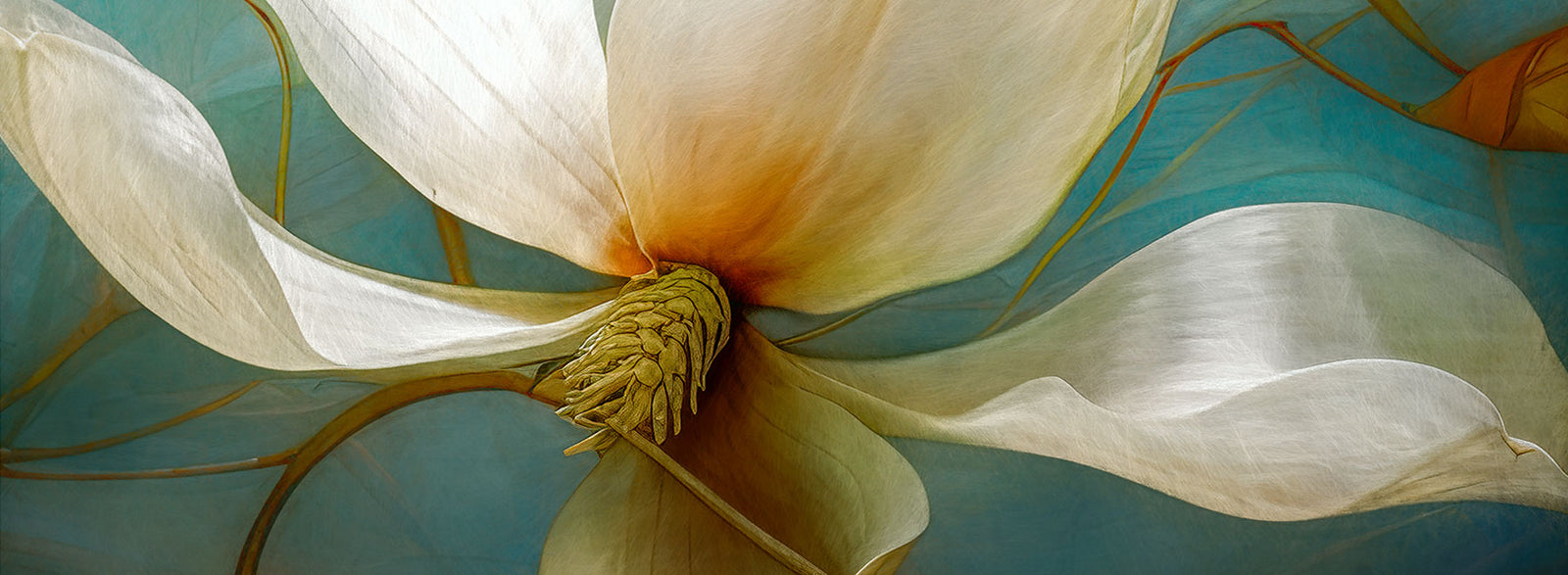6x6 Metal Prints