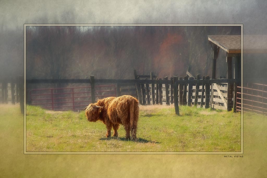 &quot;Highland Repose&quot; 6x9 Metal Print with Stand