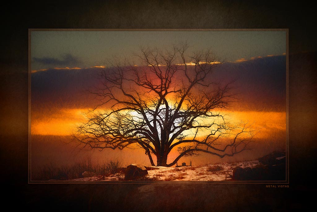 &quot;Witness to Conflagration&quot; 6x9 Metal Print with Stand