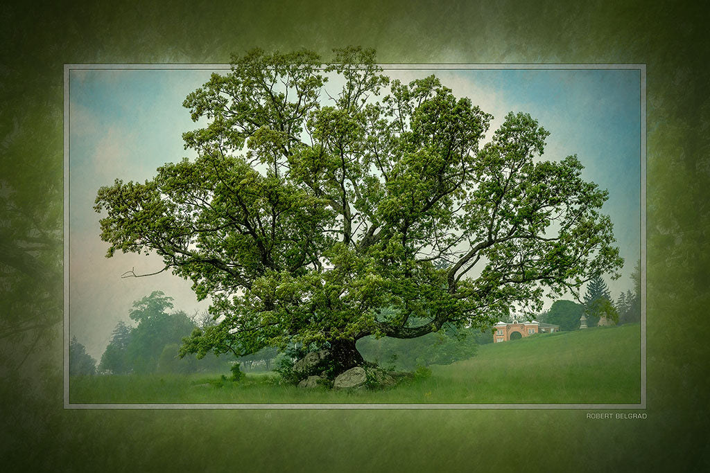 &quot;Culp&#39;s Witness&quot; 6x9 Metal Print with Stand