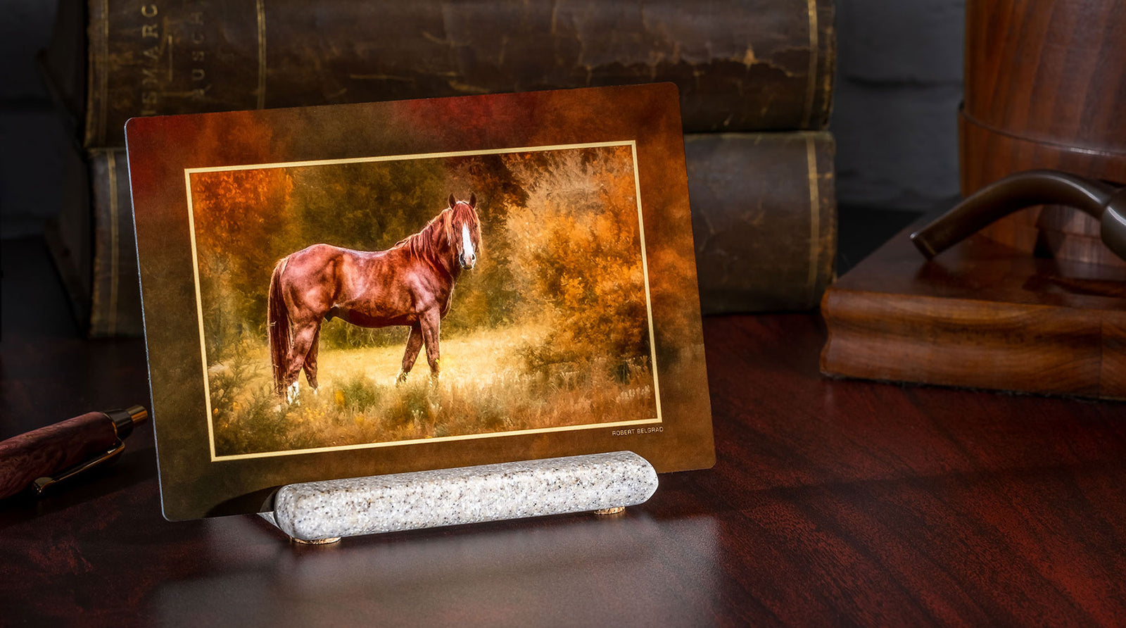 Compact metal print of a horse in a field.