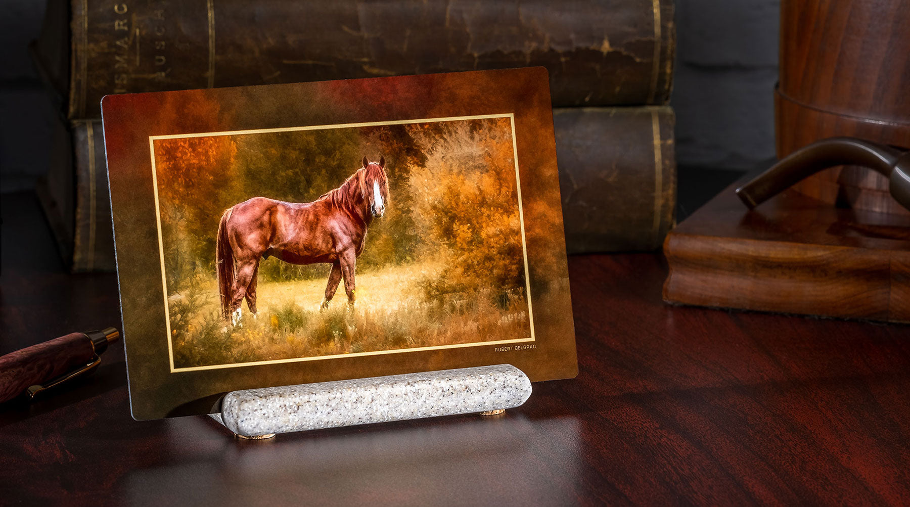 Compact metal print of a horse in a field.