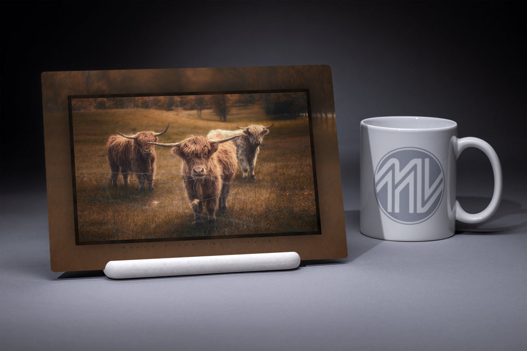 &quot;How Now Brown Cows?&quot; 6x9 Metal Print with Stand