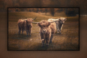 "How Now Brown Cows?" 6x9 Metal Print with Stand