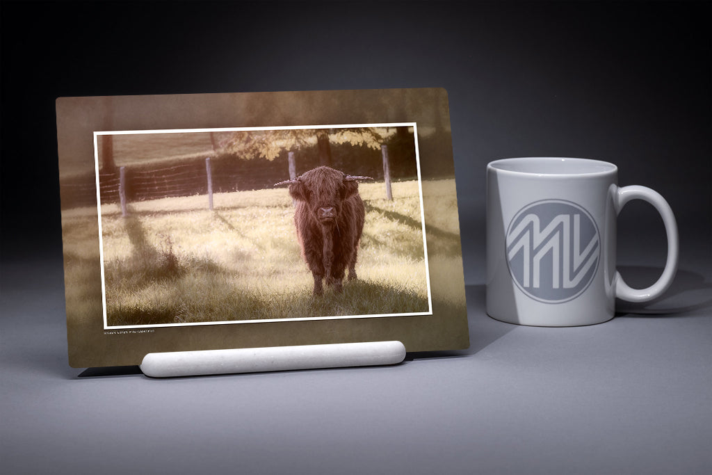 &quot;What Are You Looking At?&quot; 6x9 Metal Print with Stand