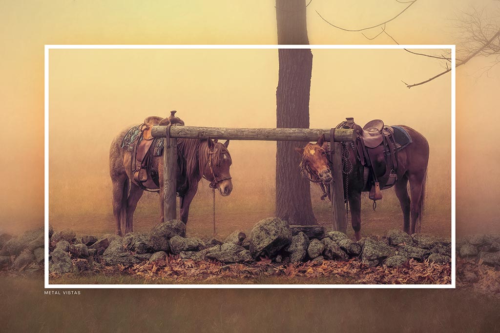 &quot;Two Horses at Gettysburg&quot; 6x9 Metal Print with Stand