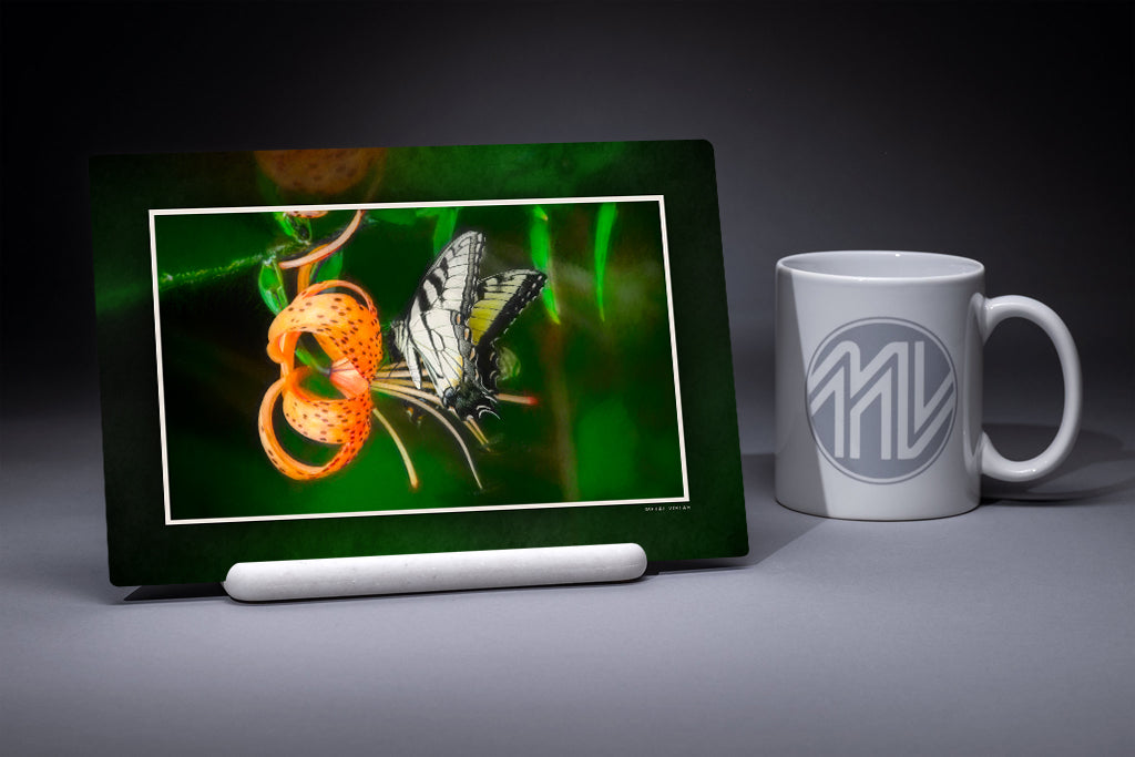 metal tiger lily Monarch on a Tiger Lily" 6x9 Metal Print with Stand