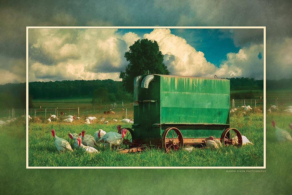 "Turkey Dinner" 6x9 Metal Print with Stand