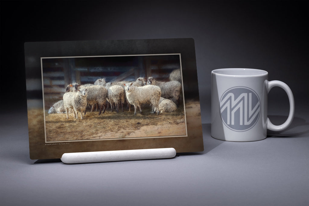 "Baaad Company" 6x9 Metal Print with Stand