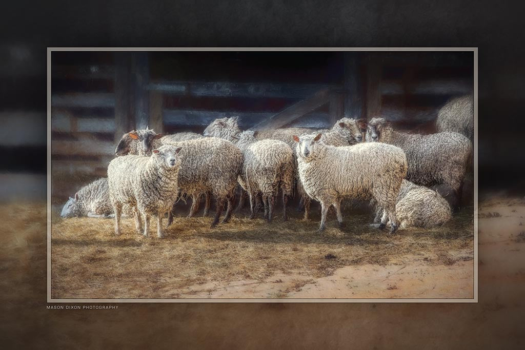 "Baaad Company" 6x9 Metal Print with Stand