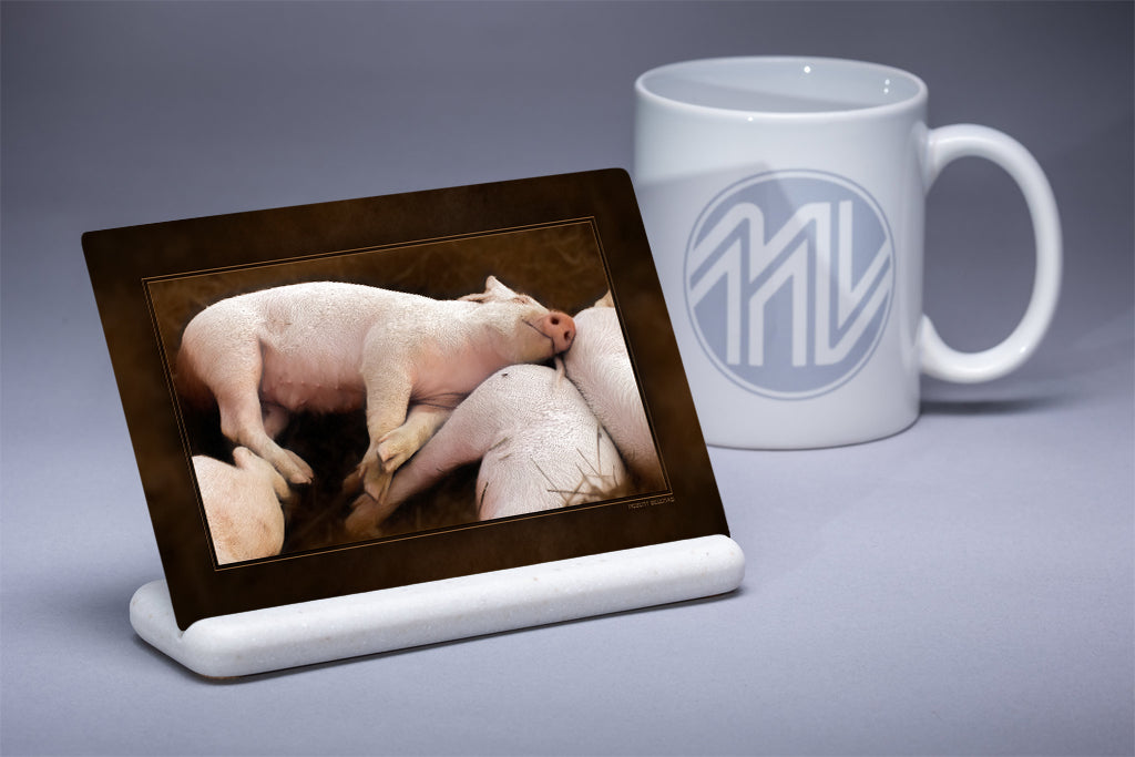 &quot;Piglet Nap&quot; 4x6 Metal Print &amp; Stand