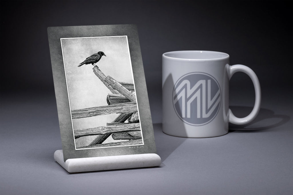 &quot;Lone Raven on a Fence&quot; 4x6 Metal Print &amp; Stand