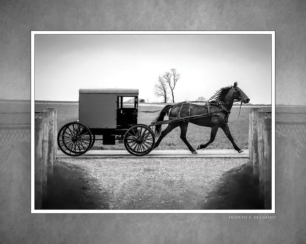 &quot;Giddyup&quot; 4x5 Metal Print &amp; Stand