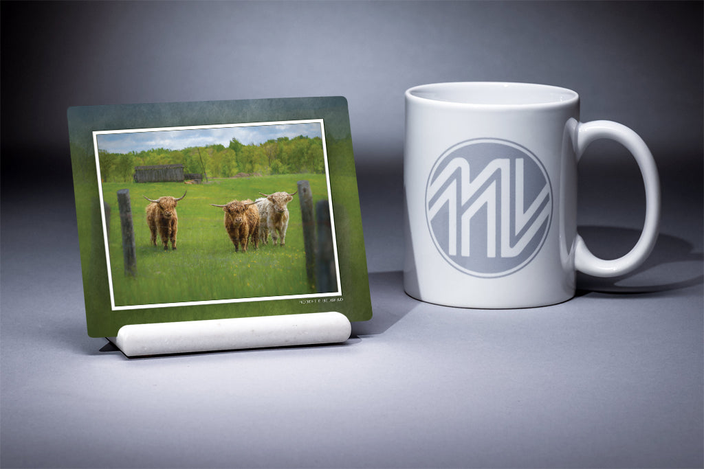 &quot;Bovine Regard&quot; 4x5 Metal Print &amp; Stand