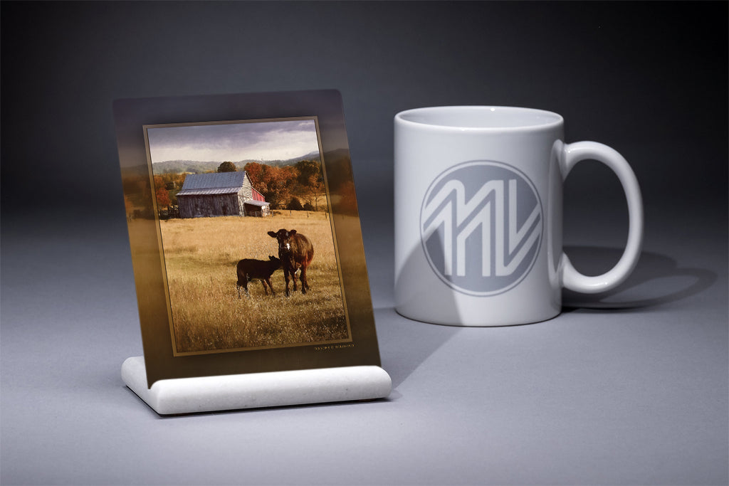 &quot;Lunch Break&quot; 4x5 Metal Print &amp; Stand