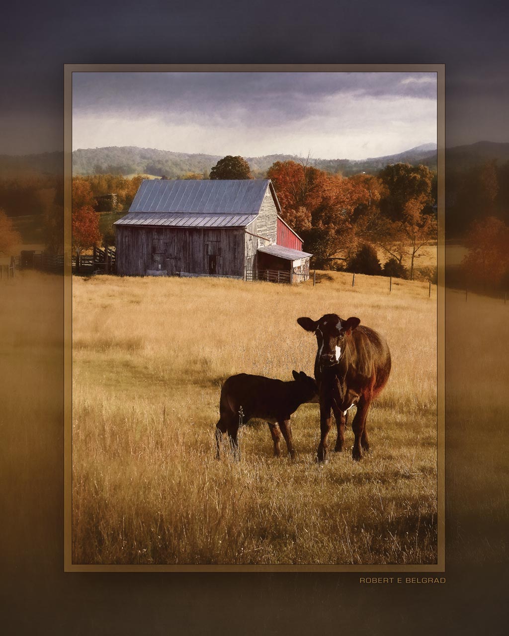 &quot;Lunch Break&quot; 4x5 Metal Print &amp; Stand