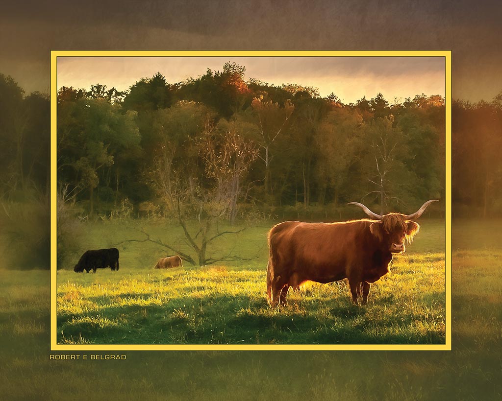 &quot;Longhorn Sunset&quot; 4x5 Metal Print &amp; Stand