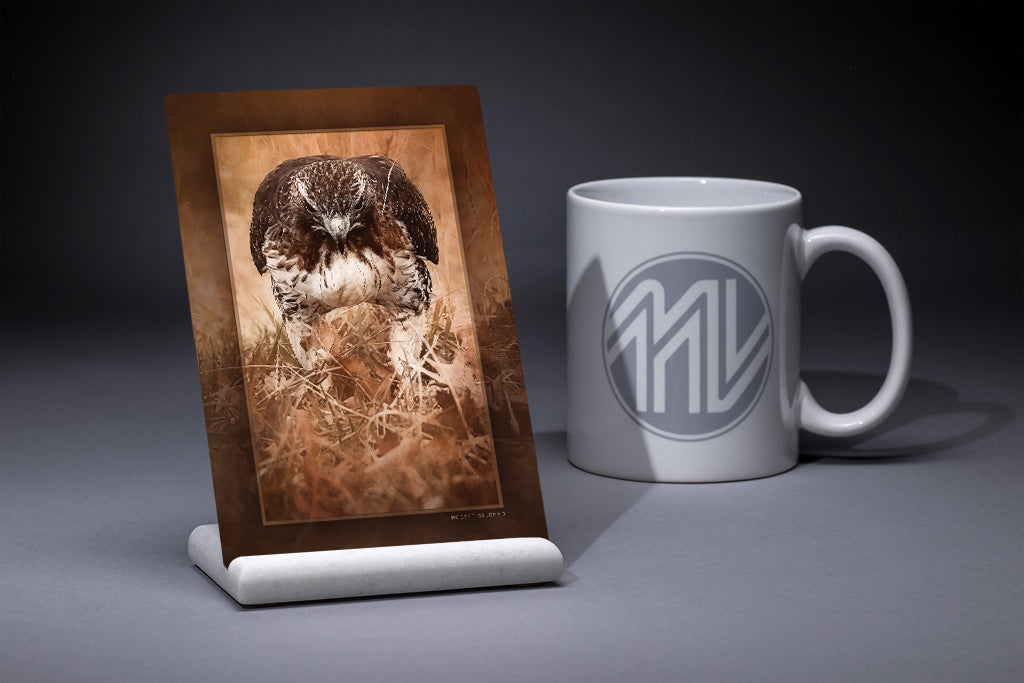 &quot;Raptor Snack&quot; 4x6 Metal Print &amp; Stand