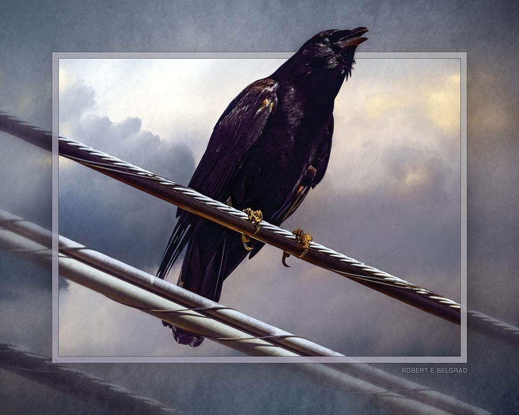 &quot;Crow&#39;s Call&quot; 4x5 Metal Print &amp; Stand