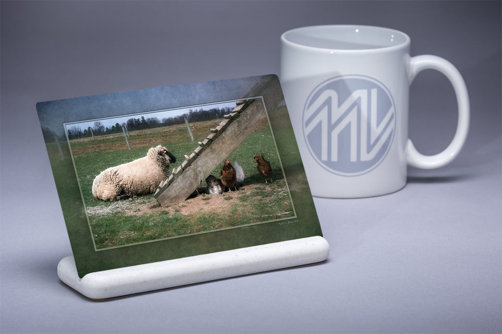 &quot;The Great Escape&quot; 4x6 Metal Print &amp; Stand