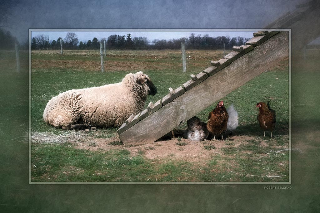 &quot;The Great Escape&quot; 4x6 Metal Print &amp; Stand