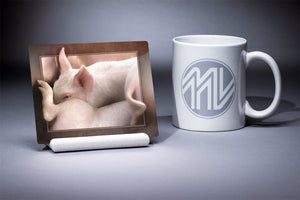 "Piggy Peek-A-Boo" 4x5 Metal Print & Stand