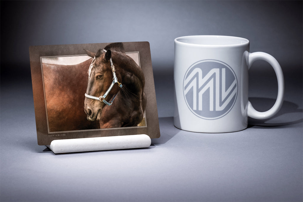 &quot;Horse Appeal&quot; 4x5 Metal Print &amp; Stand