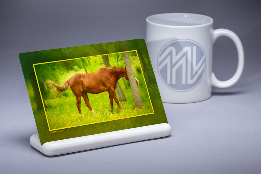 &quot;Hide and Seek&quot; 4x6 Metal Print &amp; Stand