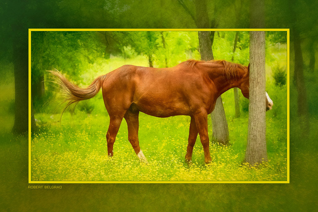 &quot;Hide and Seek&quot; 4x6 Metal Print &amp; Stand