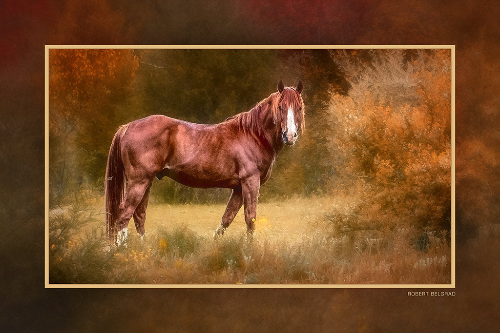 &quot;Equestrian Autumn&quot; 4x6 Metal Print &amp; Stand