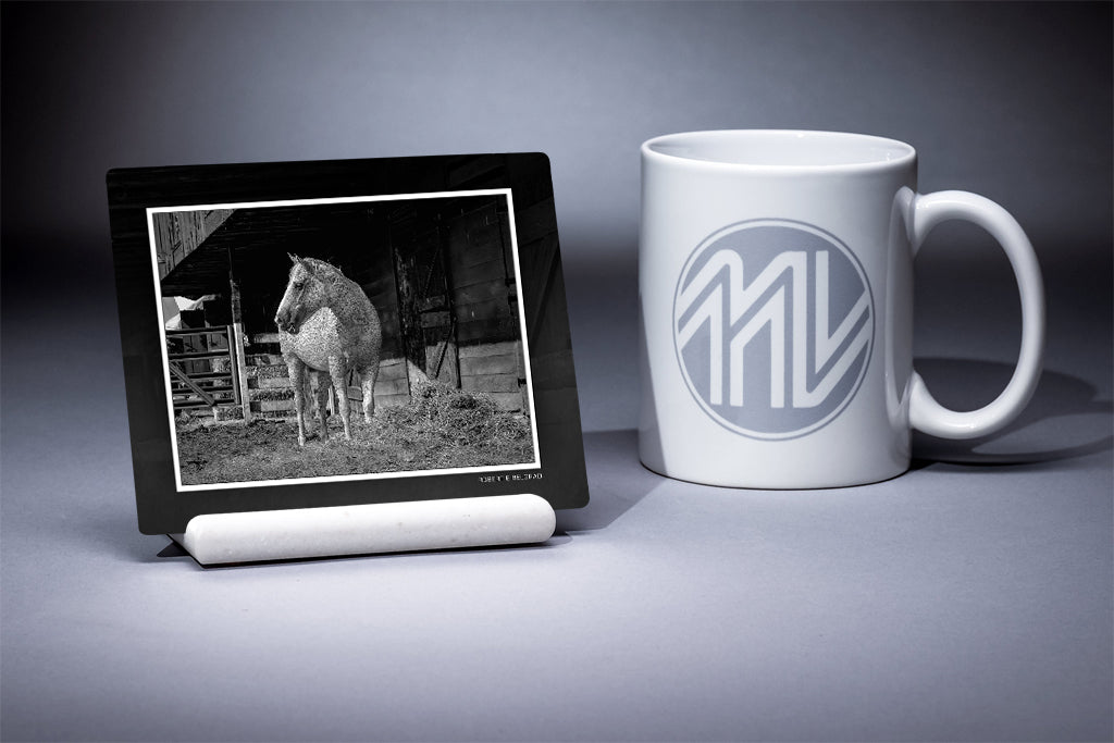 &quot;Nathan&quot; 4x5 Metal Print &amp; Stand