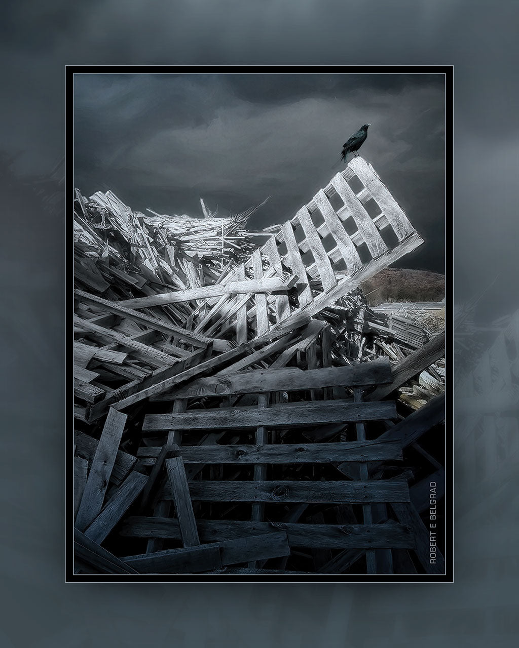 &quot;Raven Perched on Pallet&quot; 4x5 Metal Print &amp; Stand