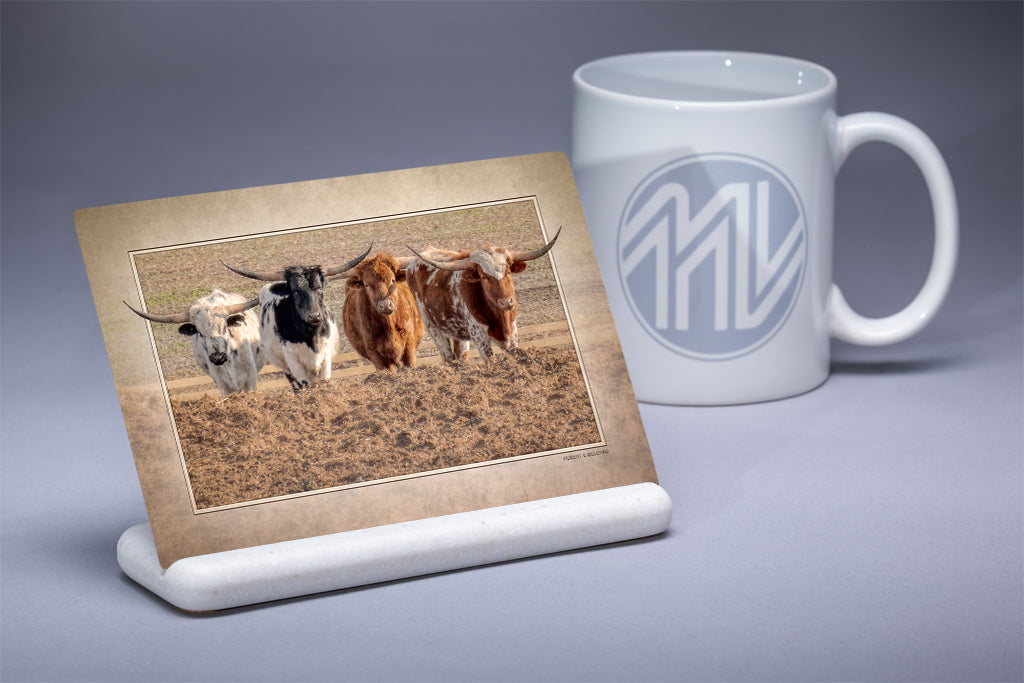 &quot;Longhorn Cattle&quot; 4x6 Metal Print &amp; Stand
