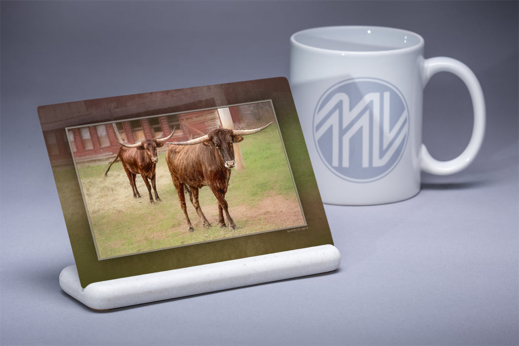 &quot;The Dynamic Duo&quot; 4x6 Metal Print &amp; Stand