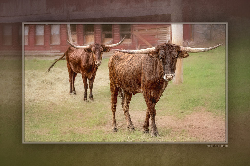 &quot;The Dynamic Duo&quot; 4x6 Metal Print &amp; Stand