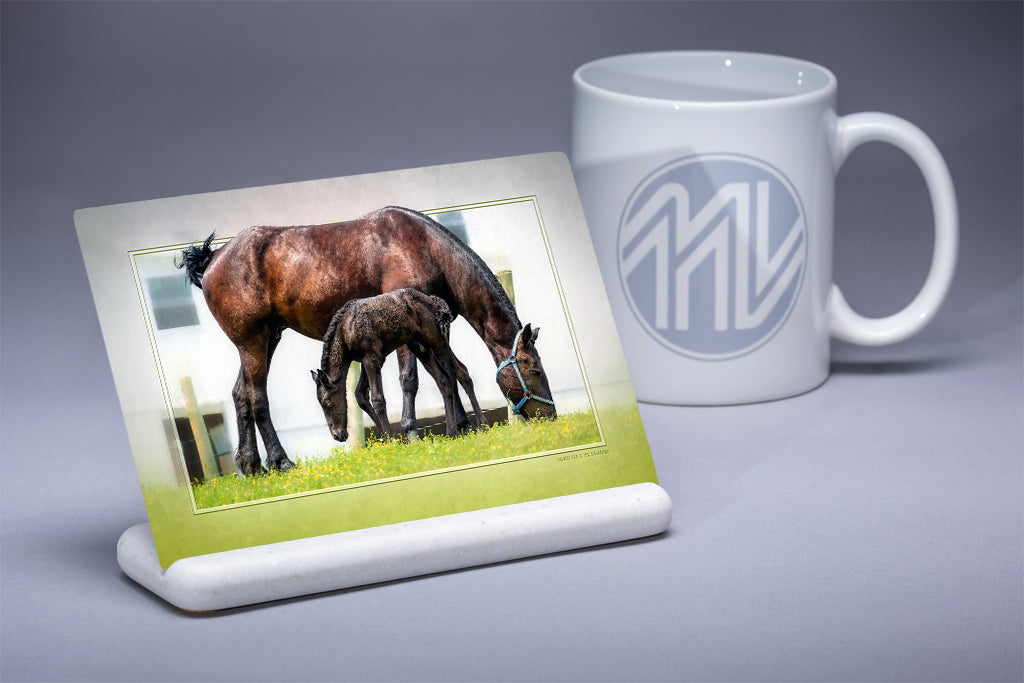 &quot;Afternoon Snack&quot; 4x6 Metal Print &amp; Stand